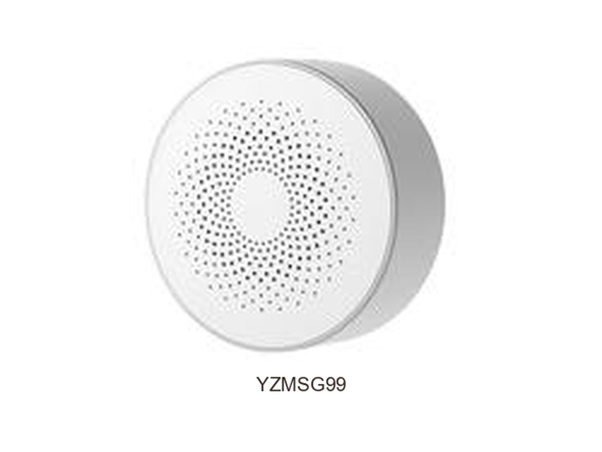 YZMSG99 — gateway cu sirenă — fotografie din catalog