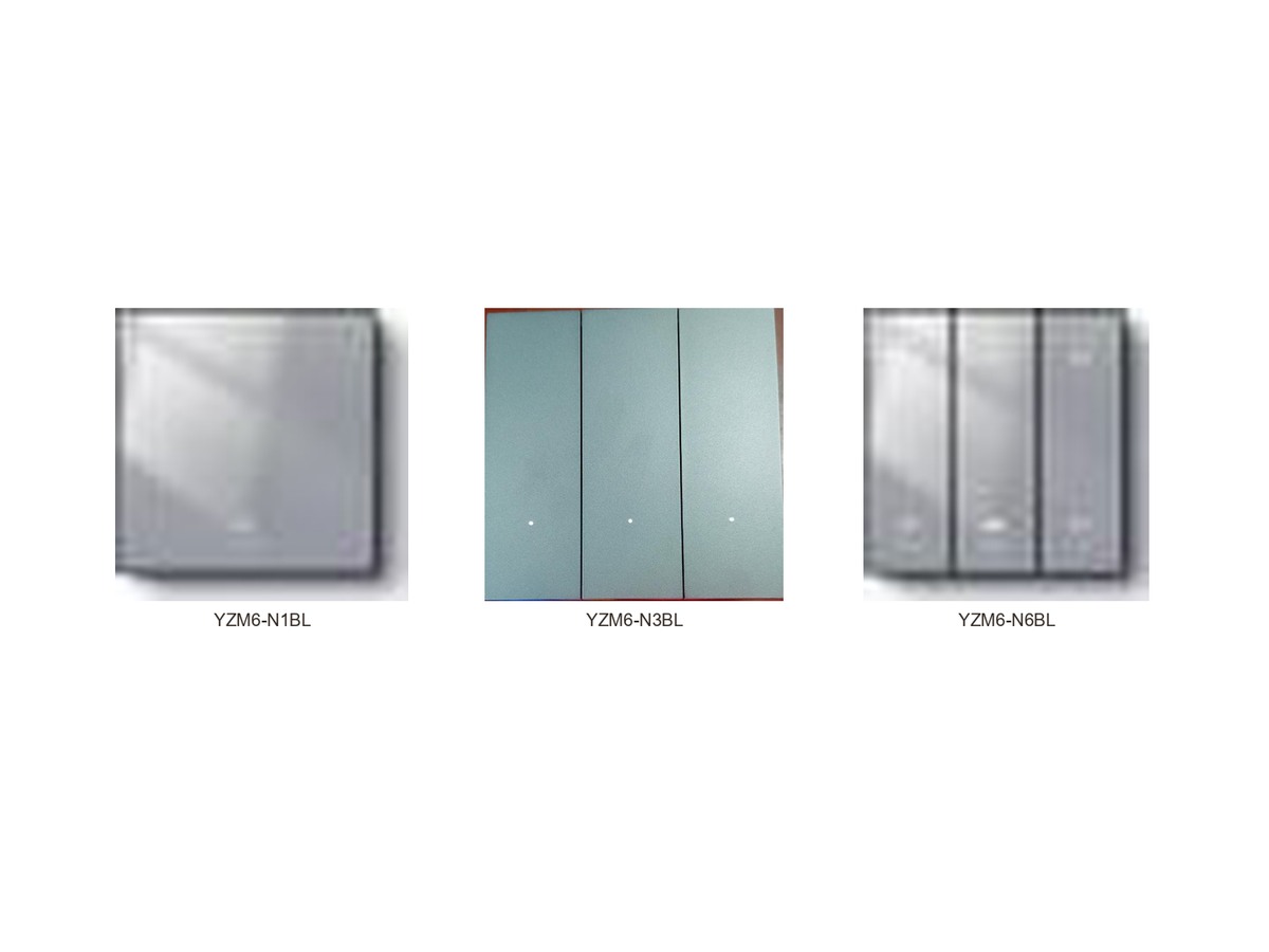 Tuya YZM6 / YZM9 BL — panouri din sticlă — fotografie din catalog